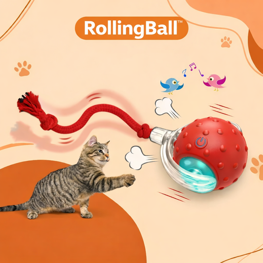 PetHaven Smart Rolling Ball