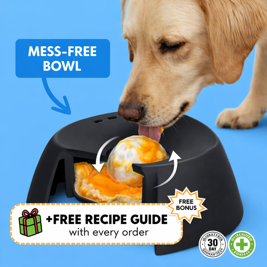 Calming Lick Bowl by PetHaven