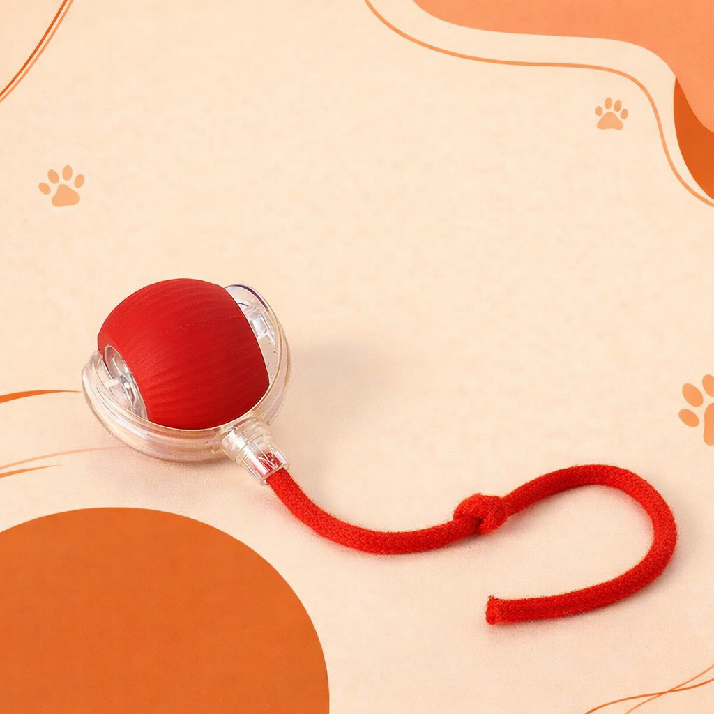 PetHaven Smart Rolling Ball