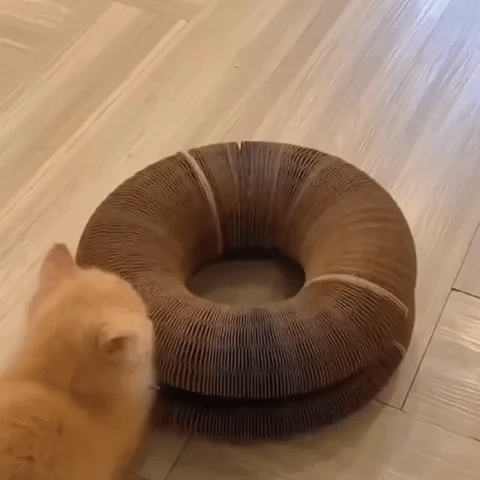 KITTYSPIN™ | 2-IN-1 SCRATCHER & SPINNING TOY