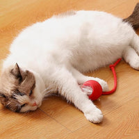 Independent Playtime