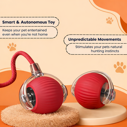 PetHaven Smart Rolling Ball