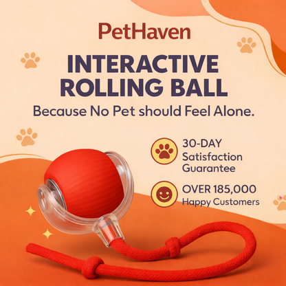 PetHaven Smart Rolling Ball