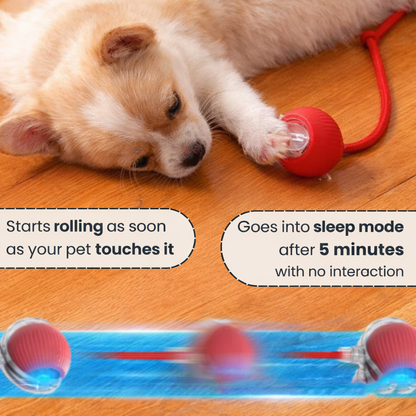 PetHaven Smart Rolling Ball