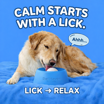 Calming Lick Bowl by PetHaven