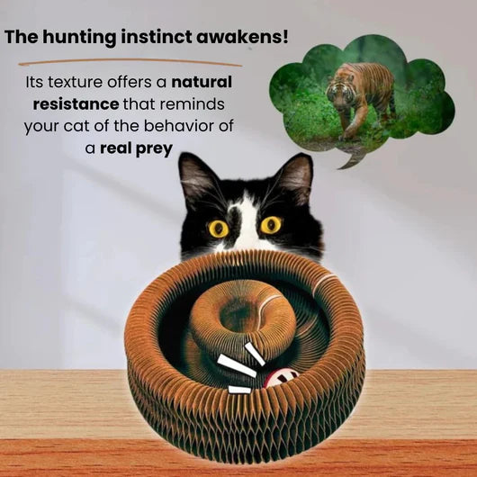KITTYSPIN™ | 2-IN-1 SCRATCHER & SPINNING TOY