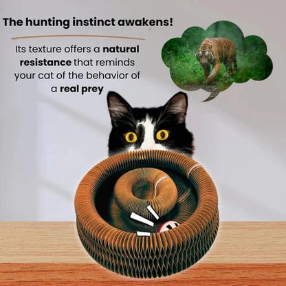 KITTYSPIN™ | 2-IN-1 SCRATCHER & SPINNING TOY